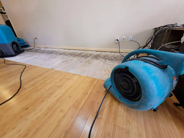 Reliable Basement Flood Cleanup contractor in East Flat Rock, NC by Hirex Water Damage