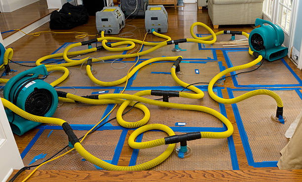 Professional Basement Flood Cleanup technician working in East Flat Rock, NC